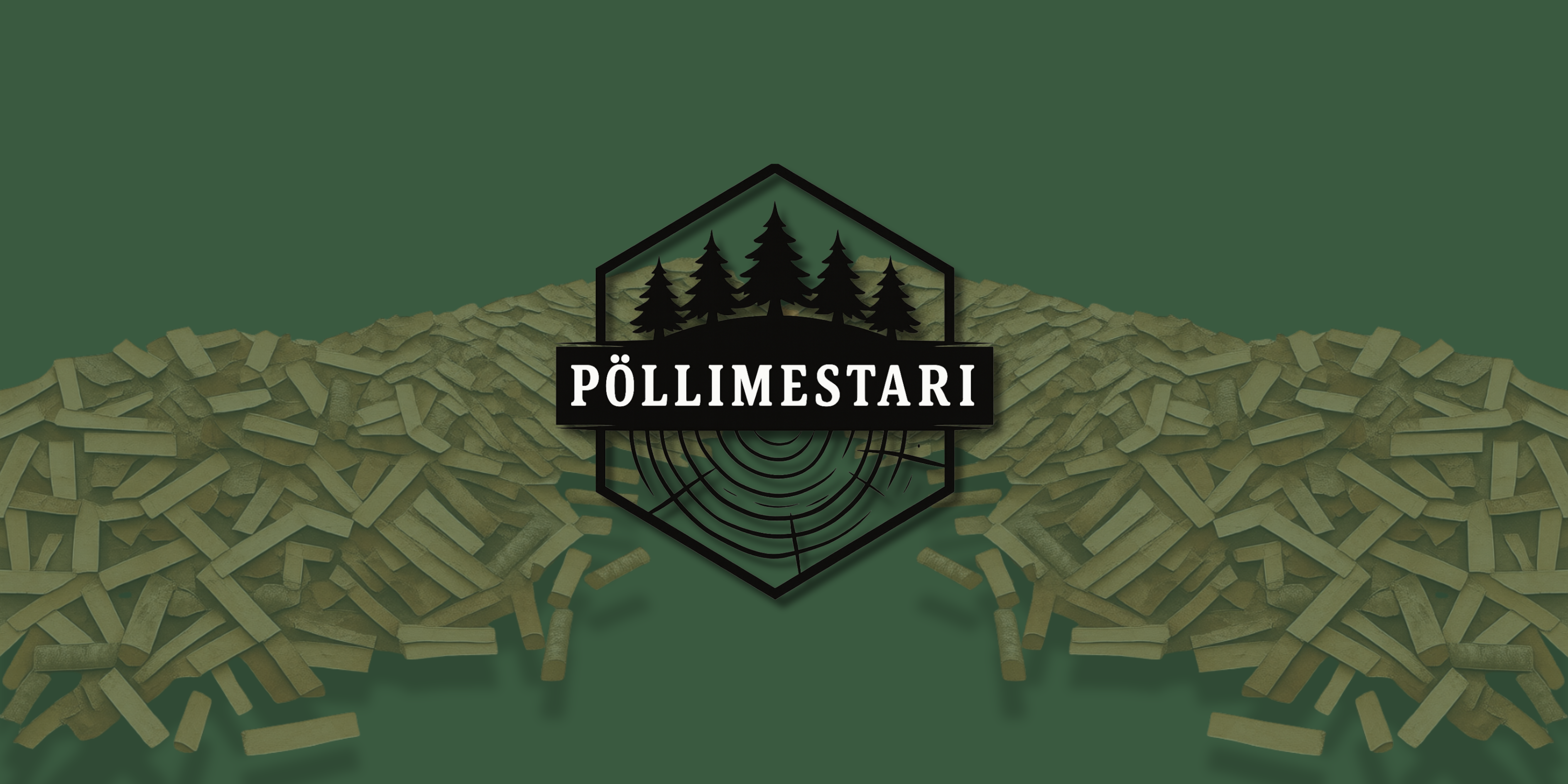 Polttopuita kasassa